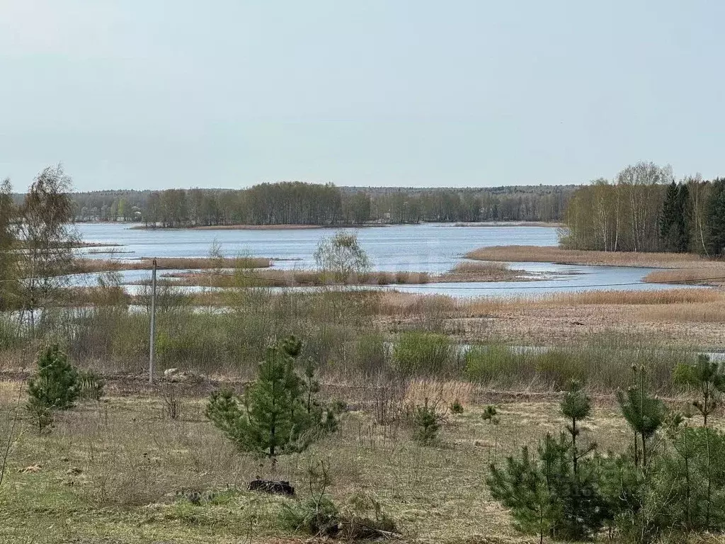 Участок в Костромская область, Красносельский район, Шолоховское ... - Фото 1