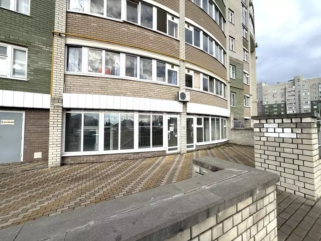 Торговая площадь в Белгородская область, Белгород ул. Газовиков, 9А ... - Фото 2