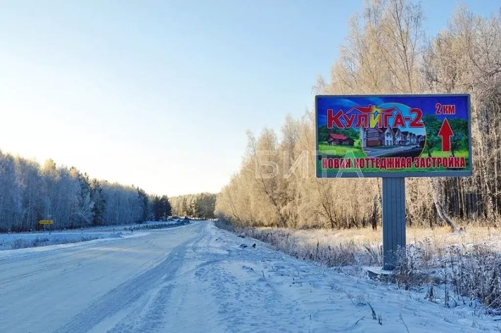 Участок в Тюменская область, Тюменский муниципальный округ, с. Кулига, ... - Фото 2