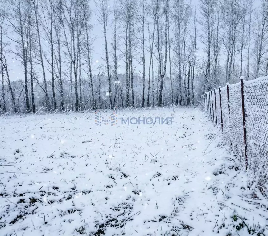 Участок в Нижегородская область, Нижний Новгород с. Елховка, ул. ... - Фото 2