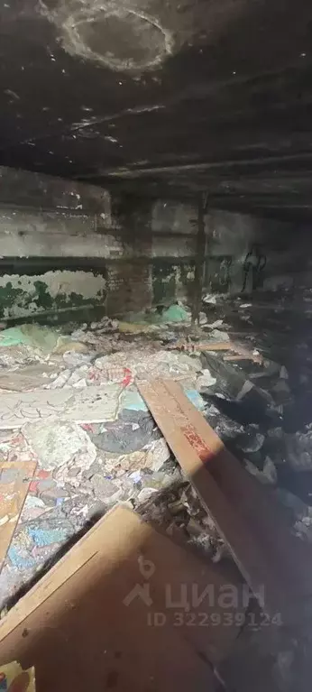 Помещение свободного назначения в Калининградская область, Калининград ... - Фото 1