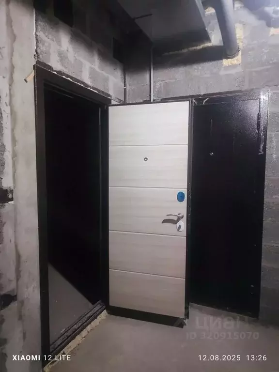 Помещение свободного назначения в Краснодарский край, Анапа ул. ... - Фото 1