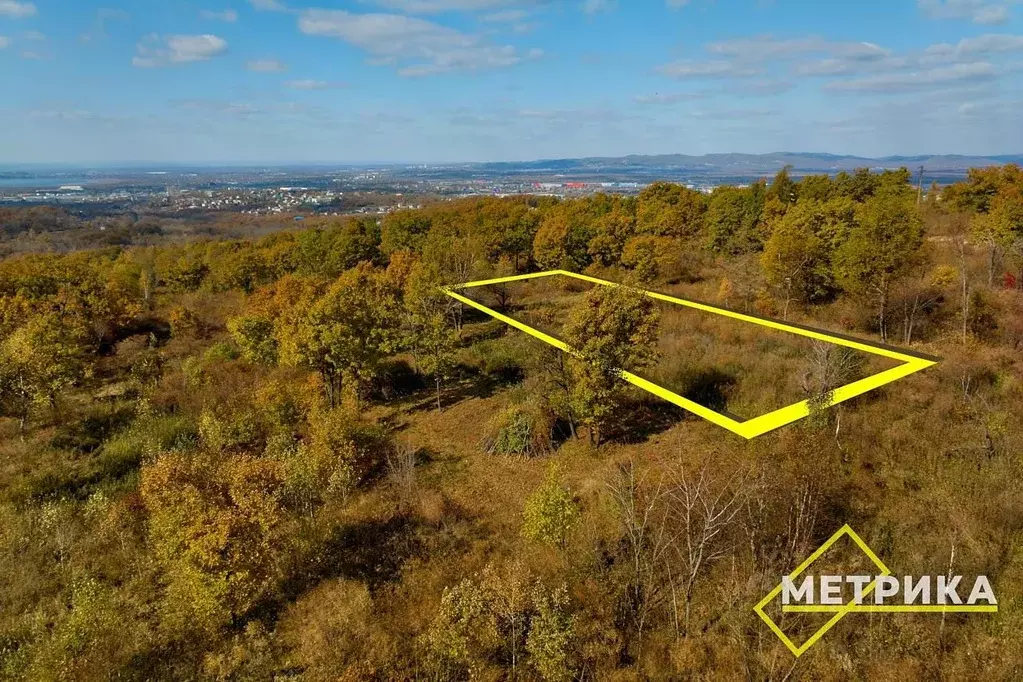 Участок в Приморский край, Артем Солидарность СТ,  (10.0 сот.) - Фото 1