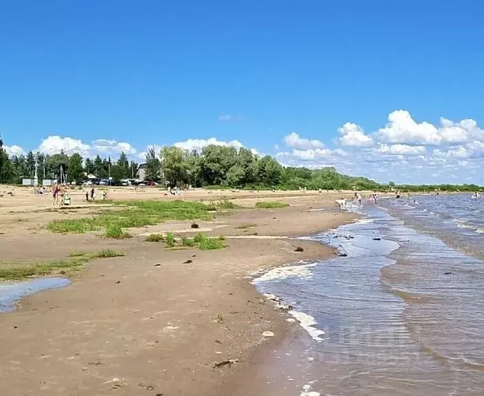 Участок в Новгородская область, Новгородский район, Ракомское с/пос, ... - Фото 0