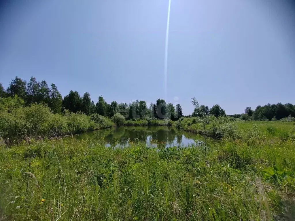 Участок в Свердловская область, Слободо-Туринский район, ... - Фото 0