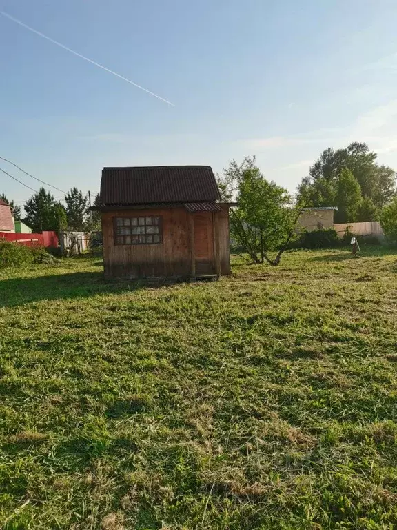 Участок в Новосибирская область, Колыванский район, Надежда СТ  (9.5 ... - Фото 0