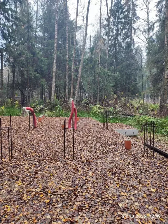 Участок в Московская область, Мытищи городской округ, пос. Трудовая ... - Фото 2