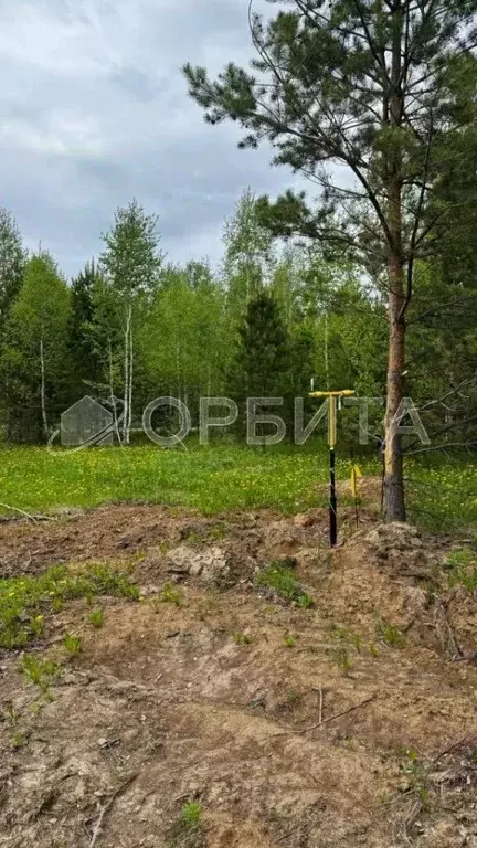 Участок в Тюменская область, Тюменский район, Новокаменский кп ул. ... - Фото 1