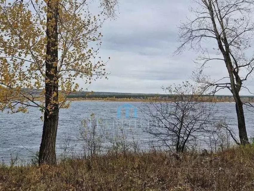 Участок в Самарская область, Жигулевск городской округ, с. Зольное  ... - Фото 1