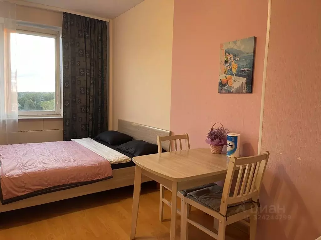 Студия Псковская область, Псков Гражданская ул., 27 (32.0 м) - Фото 1