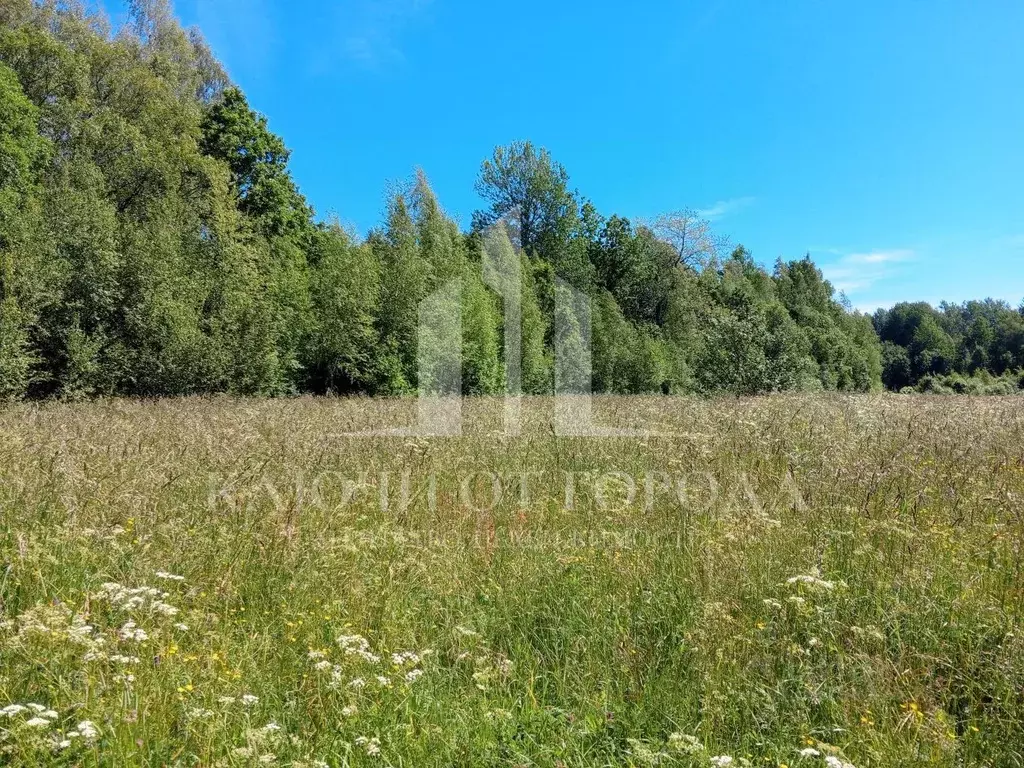 Участок в Псковская область, Гдовский район, Полновская волость, д. ... - Фото 2