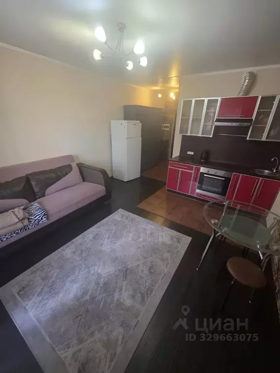 Студия Московская область, Электросталь ул. Ялагина, 13б (33.0 м) - Фото 2
