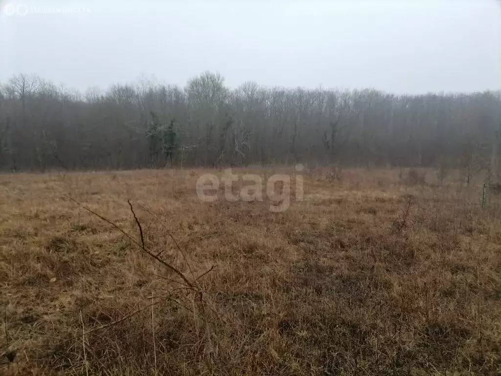 Участок в Севастополь, КСП Красный Октябрь (9.02 м) - Фото 1