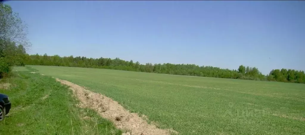 Участок в Калужская область, Медынский муниципальный округ, Михеево ... - Фото 2