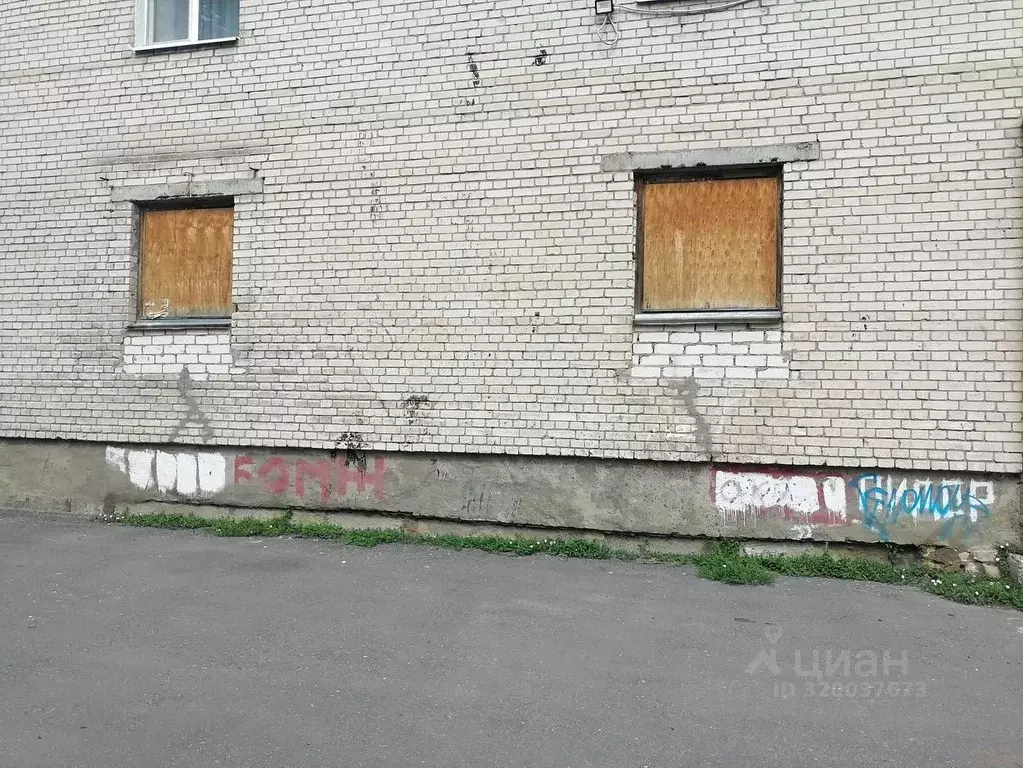 Помещение свободного назначения в Нижегородская область, Володарский ... - Фото 1