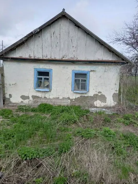 Дом в Воронежская область, Репьевский район, Краснолипьевское с/пос, ... - Фото 0