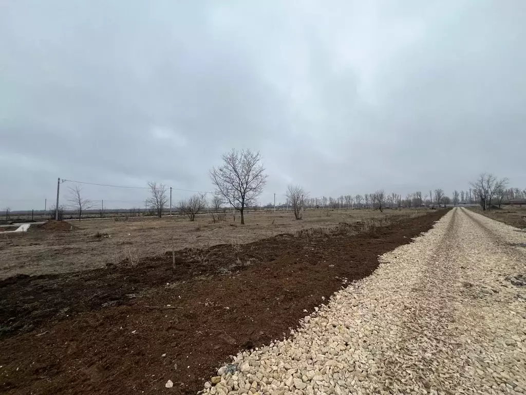 Участок в Саратовская область, Энгельсский район, Новопушкинское ... - Фото 0