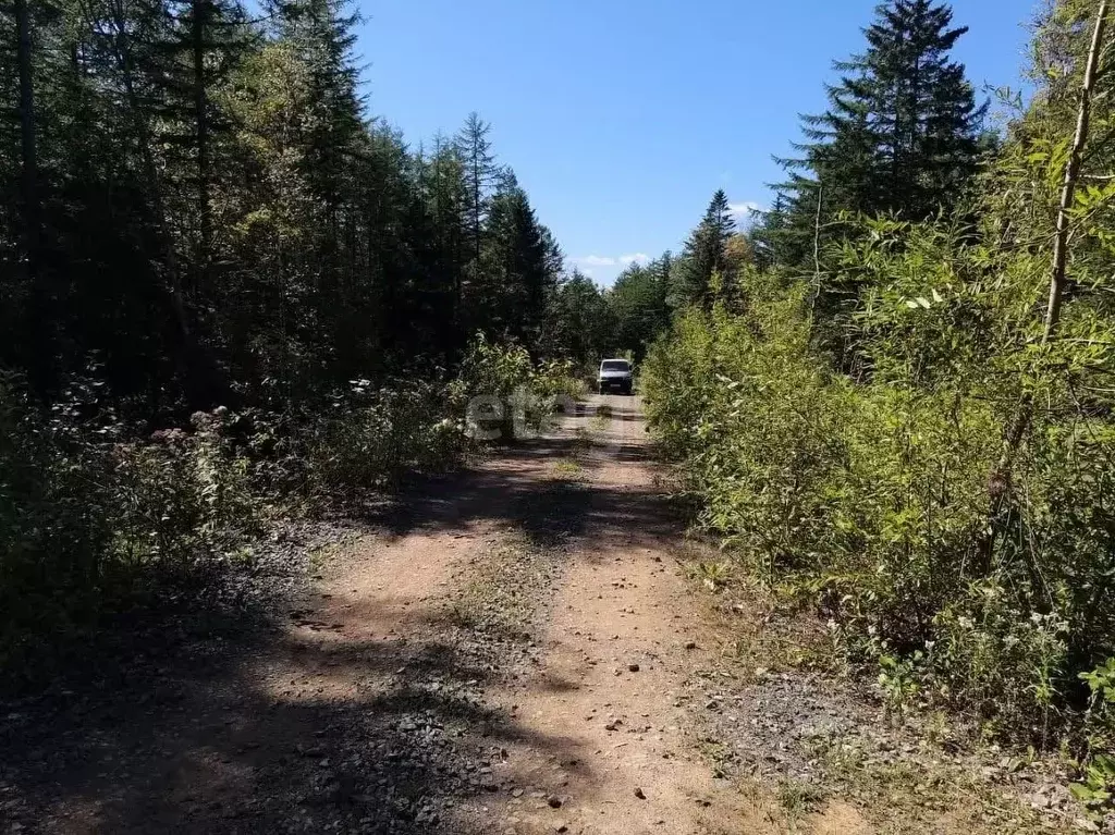 Участок в Сахалинская область, Долинск Хабаровская ул. (11.0 сот.) - Фото 1