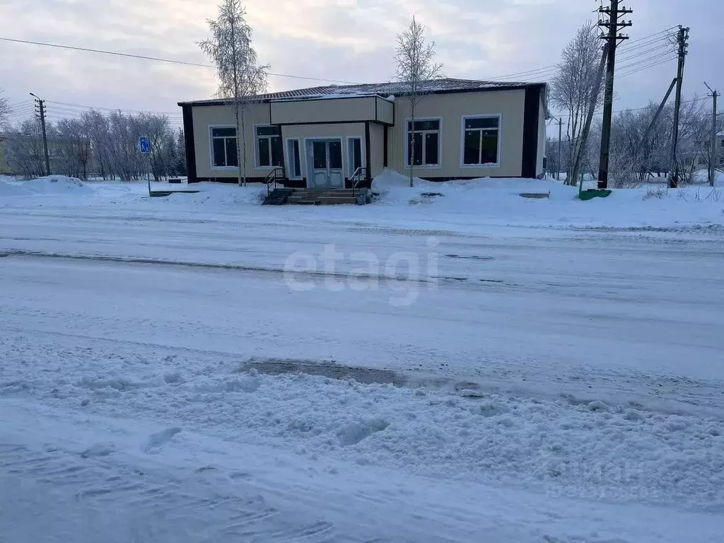Торговая площадь в Ямало-Ненецкий АО, Надымский район, Пангоды пгт ул. ... - Фото 2