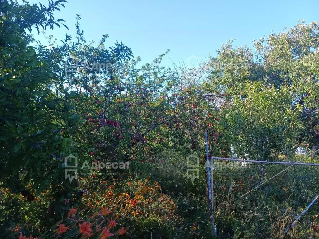 Дом в Волгоградская область, Волгоград Мичуринец СНТ, 11 (25 м) - Фото 1