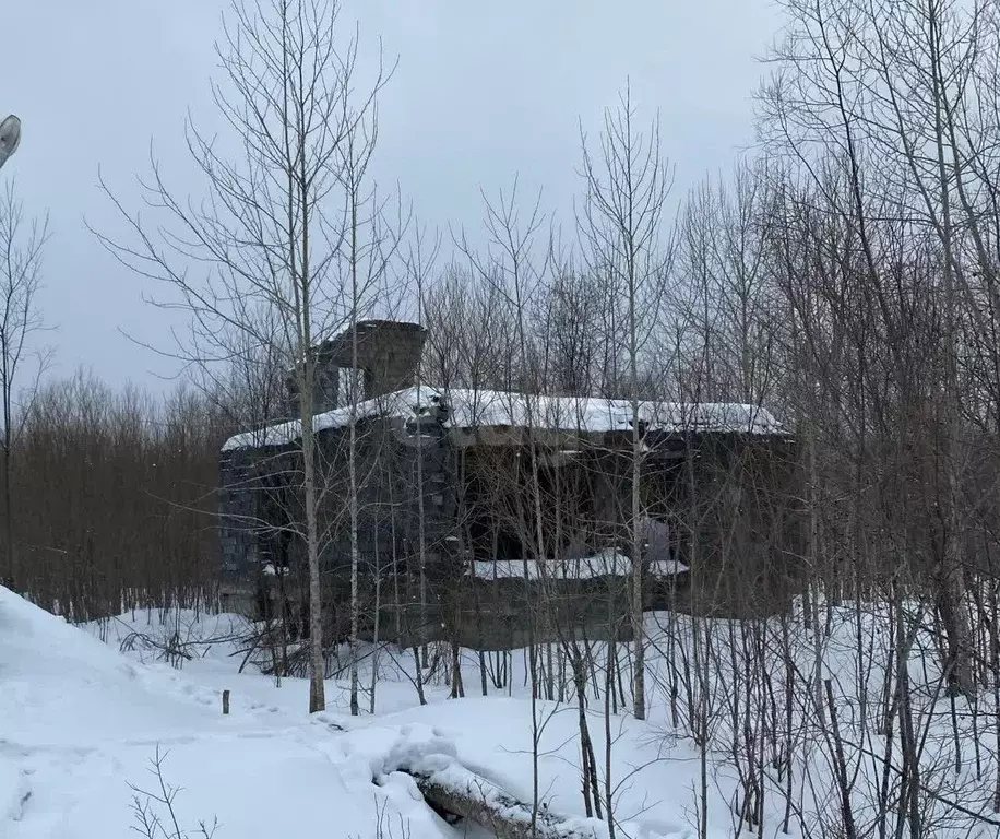 Дом в Сахалинская область, Поронайский городской округ, с. Восток ул. ... - Фото 1