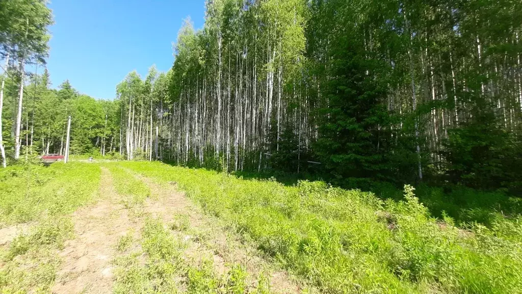 Участок в Удмуртия, Завьяловский район, д. Крестовоздвиженское  (8.0 ... - Фото 1