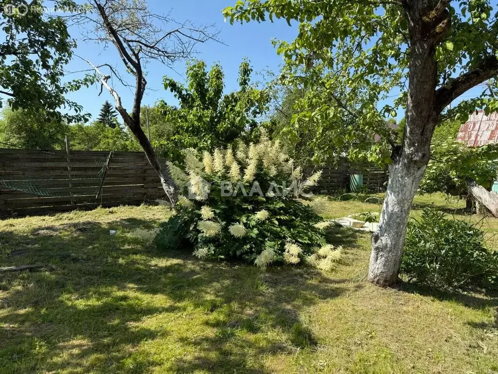 Участок в Калининград, СНТ Заря, Лиловая улица, 24 (4 м) - Фото 1