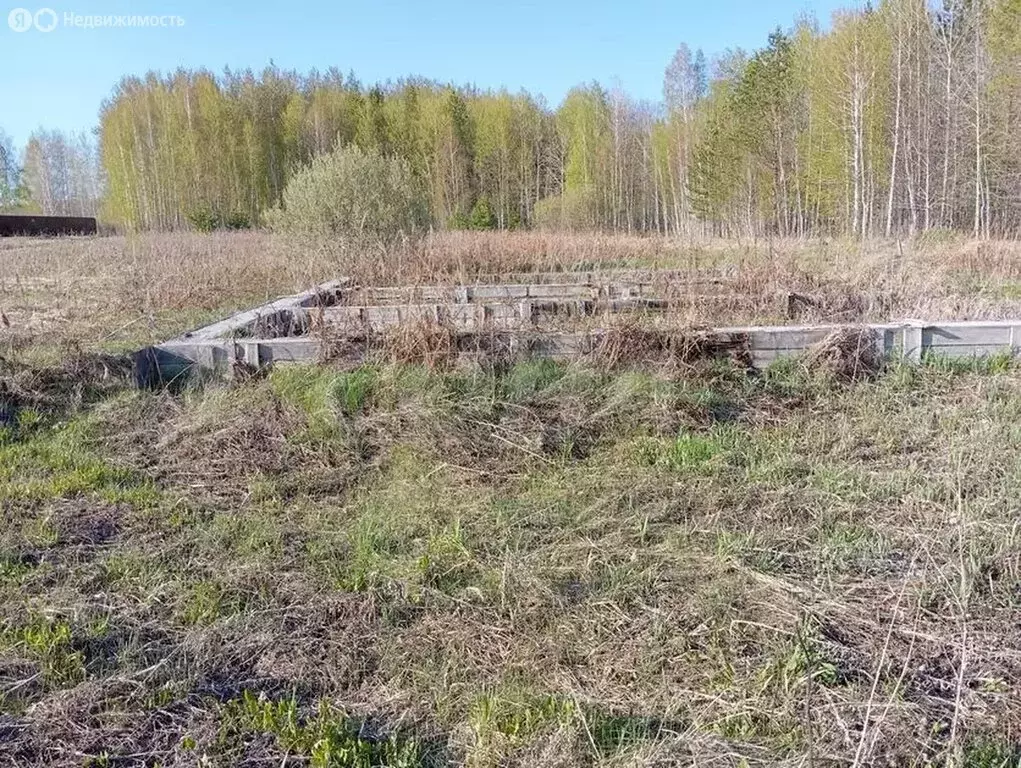 Участок в Тюменский муниципальный округ, село Кулига (12 м) - Фото 1