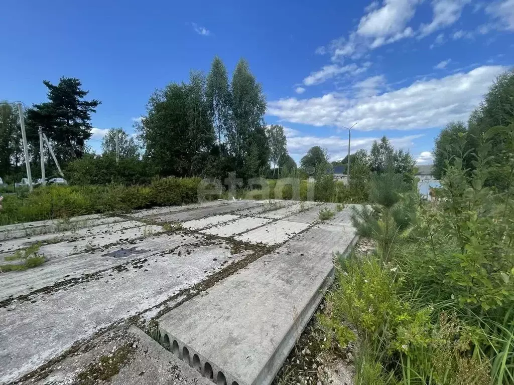 Участок в Псковская область, Псков Дорожкино мкр, 5 (15.0 сот.) - Фото 1