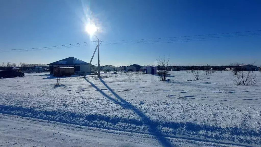 Участок в Белгородская область, Строитель Яковлевский городской округ, ... - Фото 2