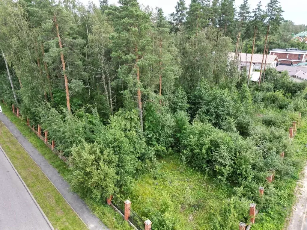 Участок в Санкт-Петербург, Санкт-Петербург, Зеленогорск Выборгский ... - Фото 1