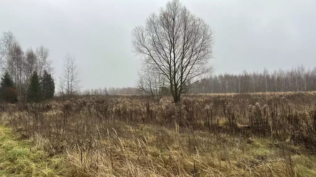 Участок в Московская область, Ступино городской округ, д. Дворяниново  ... - Фото 0