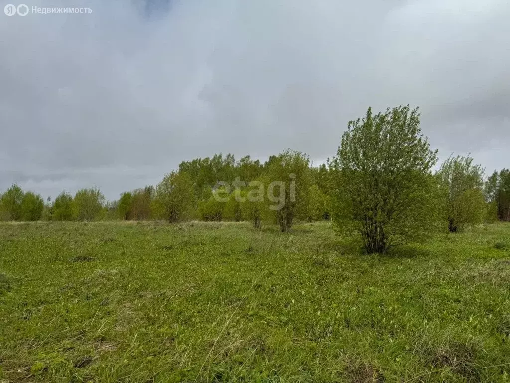 Участок в Медведевский район, Нурминское сельское поселение, село ... - Фото 1