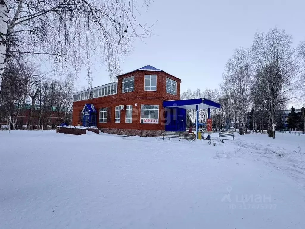 Торговая площадь в Башкортостан, с. Буздяк ул. Красноармейская, 33 ... - Фото 1