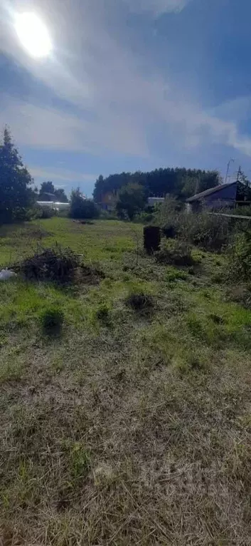 Участок в Новосибирская область, Новосибирск Садоводческого ... - Фото 2