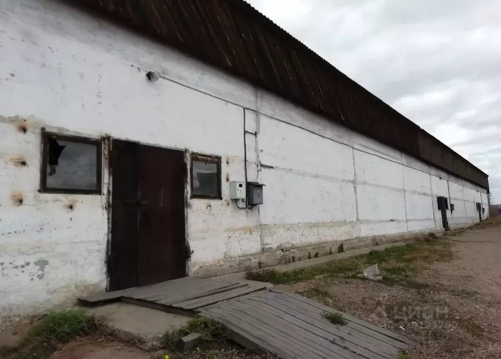 Помещение свободного назначения в Бурятия, Улан-Удэ Трактовая ул., 2 ... - Фото 0