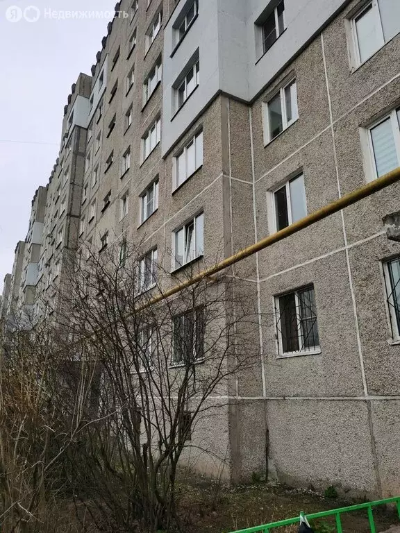 1-комнатная квартира: Дзержинск, улица Комбрига Патоличева, 29 (31 м) - Фото 1