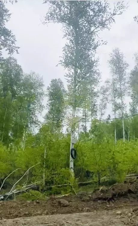 Участок 9 сот. (ИЖС) - Фото 0