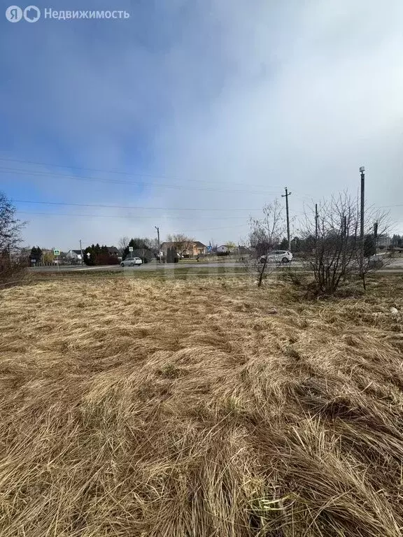 Участок в Калининградская область, Зеленоградский муниципальный округ, ... - Фото 2