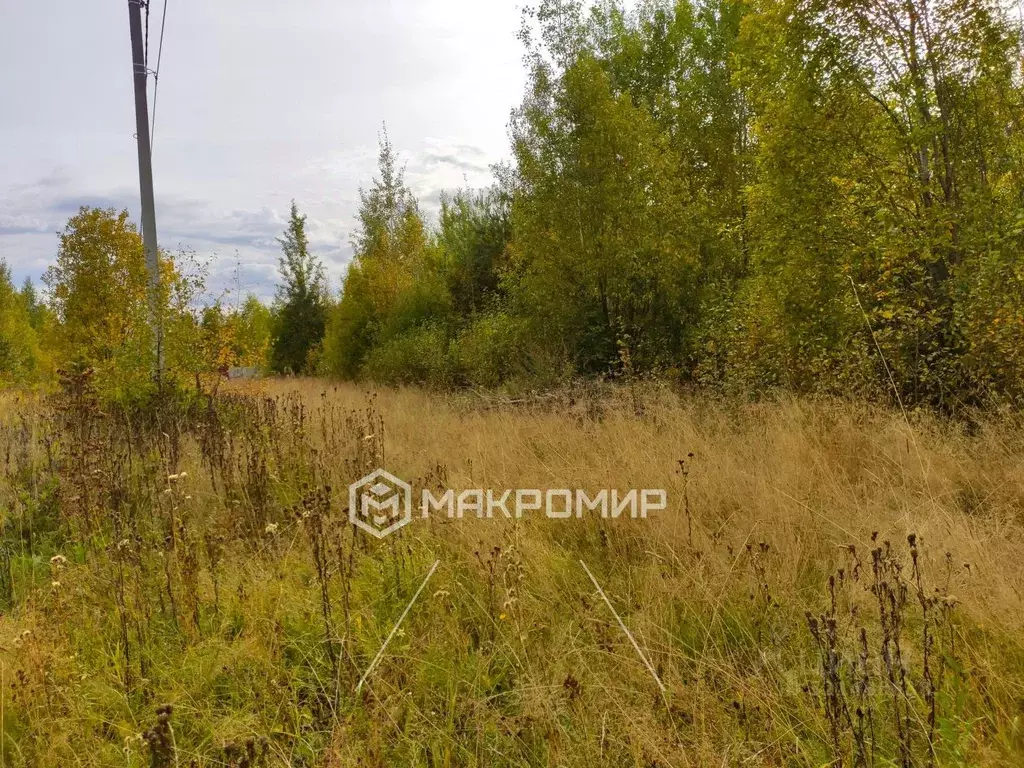 Участок в Кировская область, Киров городской округ, д. Богородская ул. ... - Фото 2