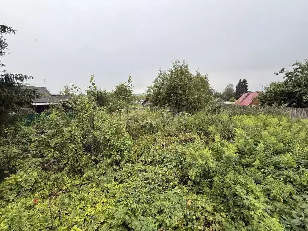 Участок в Тверская область, Лихославльский муниципальный округ, д. ... - Фото 2