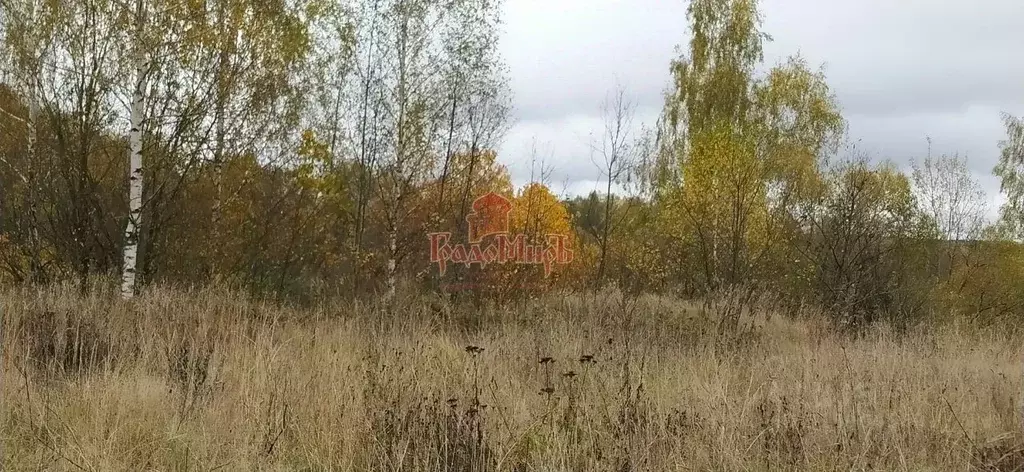 Участок в Владимирская область, Александровский район, Каринское ... - Фото 1