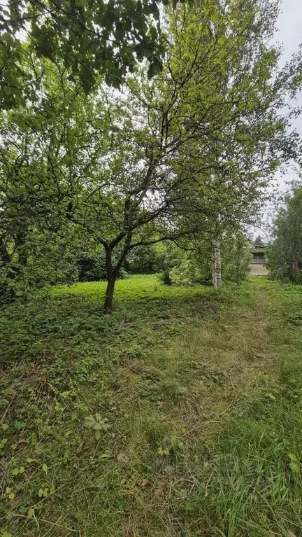 Участок в Ленинградская область, Всеволожский район, Лесколовское ... - Фото 2
