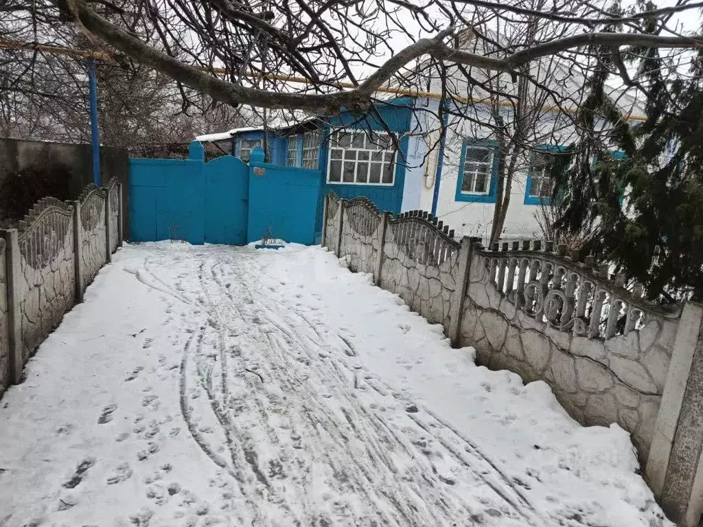 Дом в Белгородская область, Волоконовский район, Пятницкое рп Дорожная ... - Фото 1