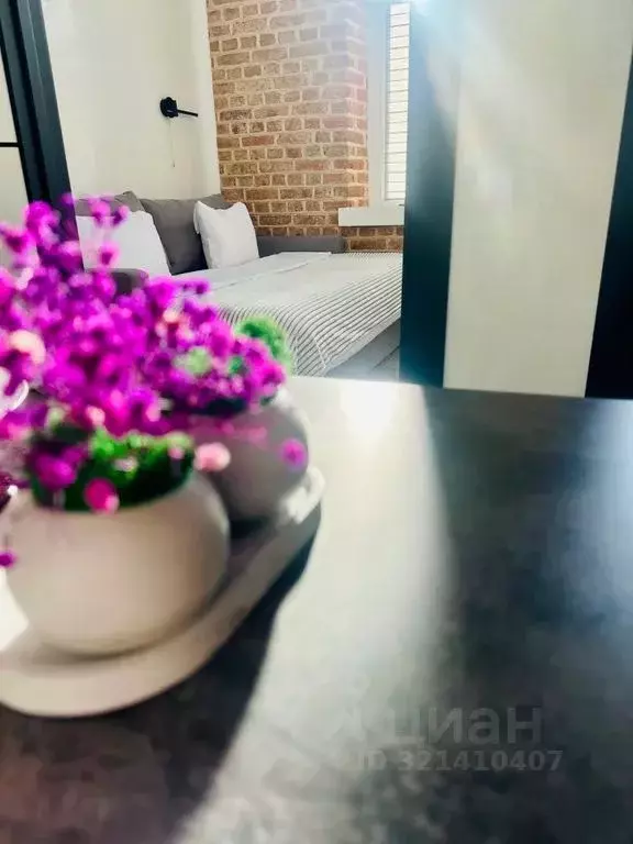 2-к кв. Ленинградская область, Выборг ул. Сторожевой Башни, 12 (30.0 ... - Фото 1