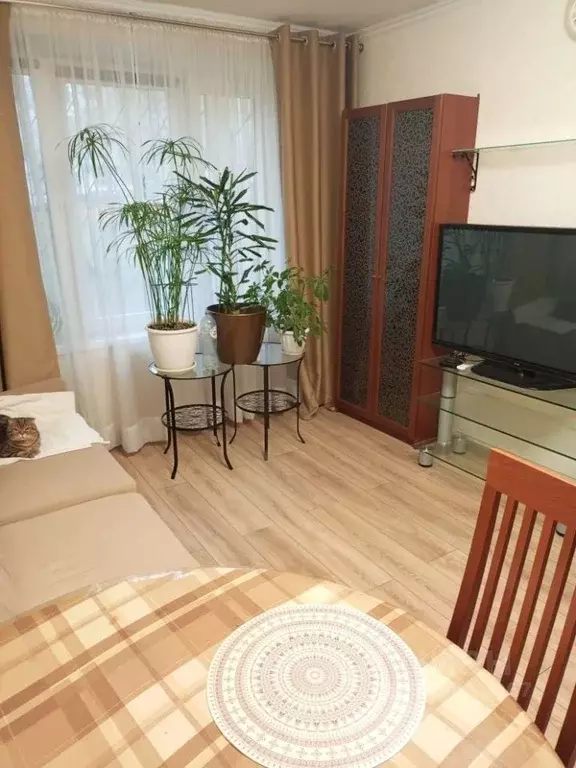 1-к кв. Москва ул. Медиков, 18 (31.0 м) - Фото 2