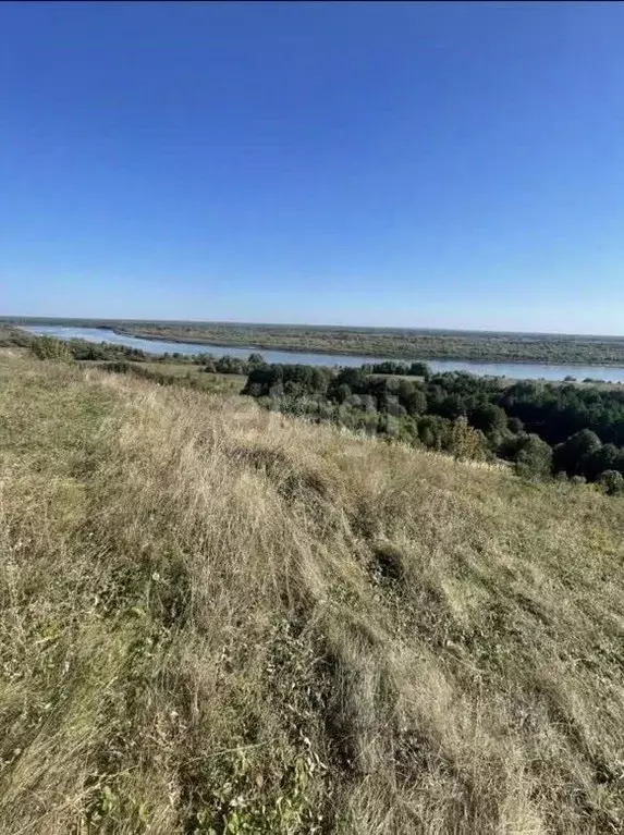 Участок в Владимирская область, Меленковский муниципальный округ, с. ... - Фото 0