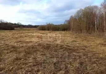 Участок в Калужская область, Ульяново с/пос, с. Медынцево  (1138.04 ... - Фото 2