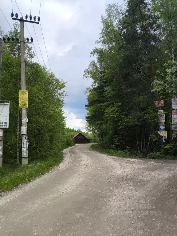 Участок в Владимирская область, Петушинский муниципальный округ, д. ... - Фото 2