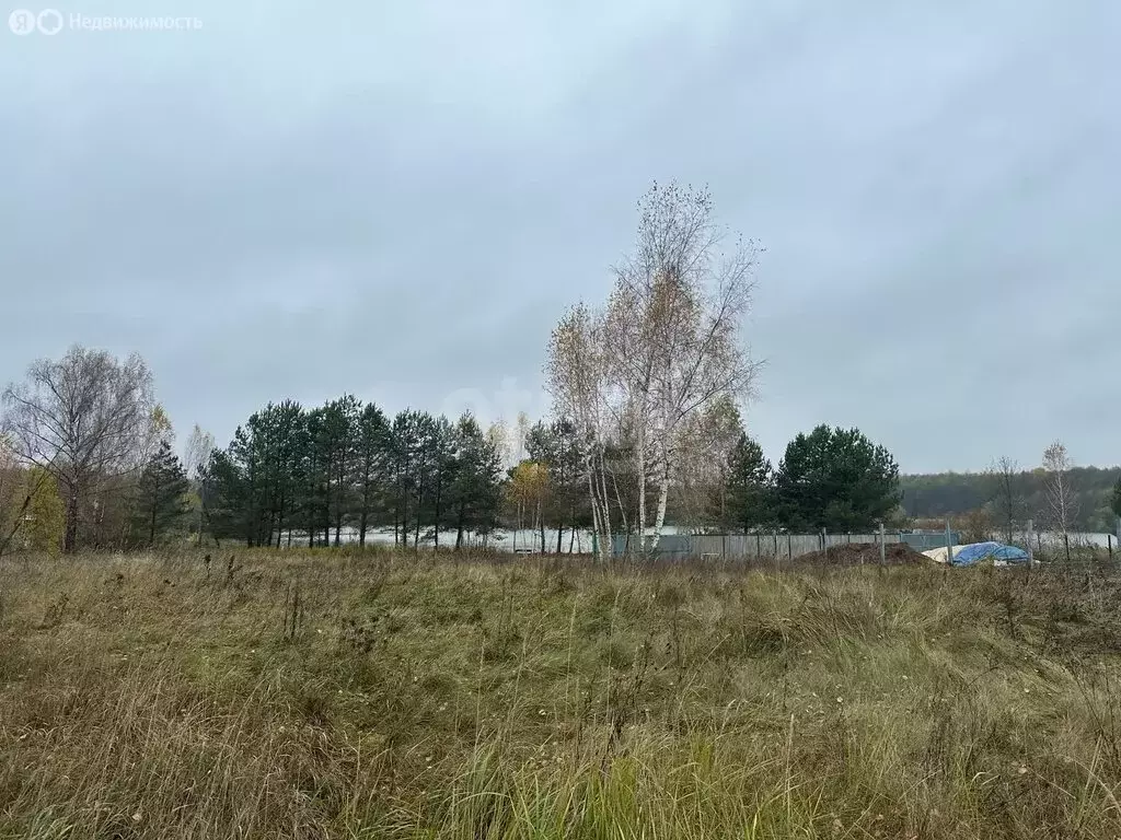 Участок в Брянский район, Новодарковичское сельское поселение, деревня ... - Фото 0